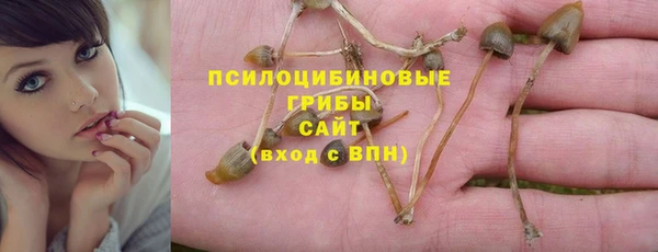 скорость Лагань