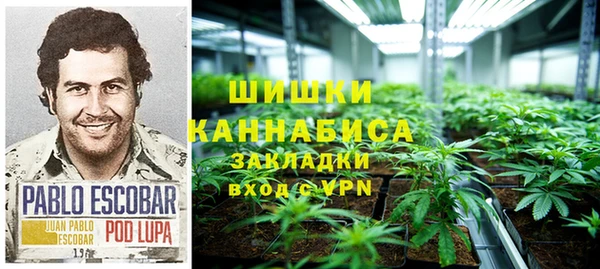 дурь Ладушкин