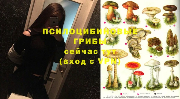 дурь Ладушкин