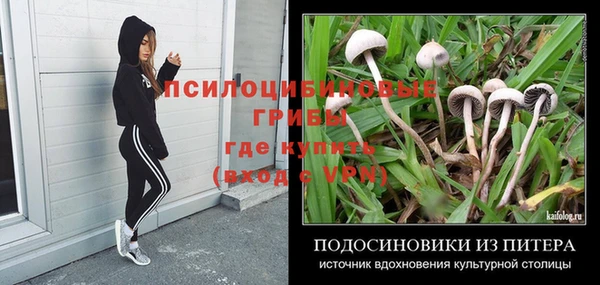эйфоретик Лабытнанги