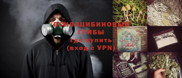 скорость Лагань