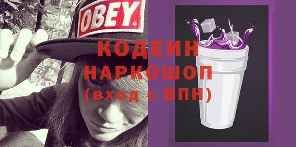 дурь Ладушкин