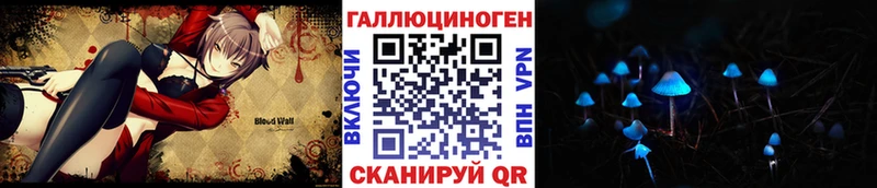 blacksprut tor  Артём  Псилоцибиновые грибы Psilocybe 